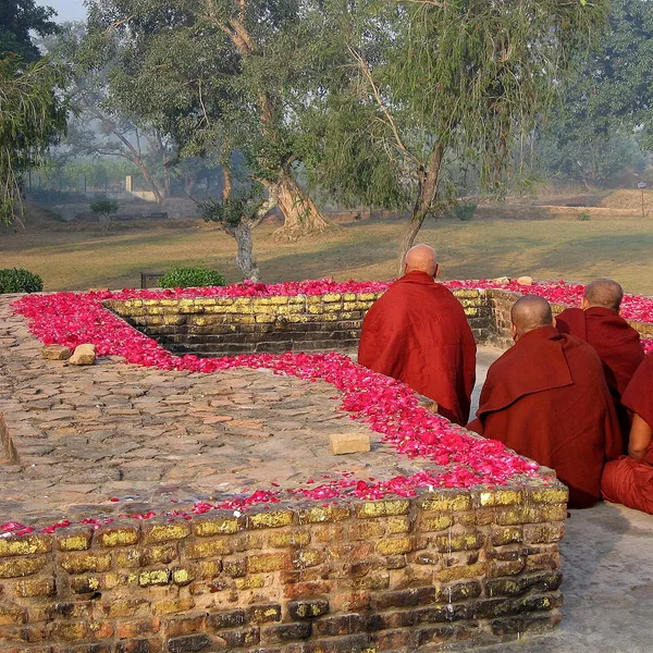 Sravasti